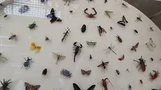 A visit to the science museum Oxford London #trending #viral #indianvlogger #uk #travel #