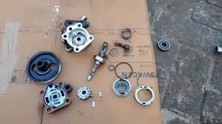 Hyundai Santro Xing power steering pump repair