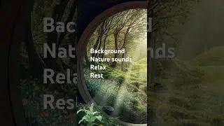 #исцеляющиезвукиприроды #calming #relax #naturesounds #nervoussystemcalm #zenmusic #rest#shorts