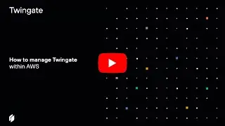 How to manage Twingate within AWS