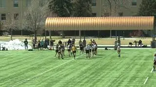 Colorado Gray Wolves vs Black Ice: final 1st half #3.