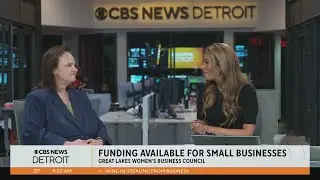 Great Lakes Women's Business Council offers funding for small businesses