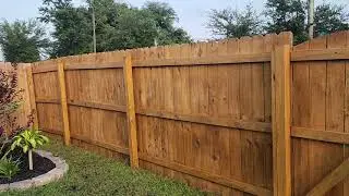 Fence Stain result- Olympic Stain and Sealer transparent in Harvest Gold. Showing off the color.