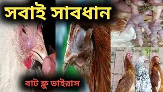 বাট ফ্লু রোগের লক্ষ্মণ এবং চিকিৎসা।