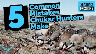 Chukar Hunting Tips - 5 Common Mistakes Chukar Hunters Make!