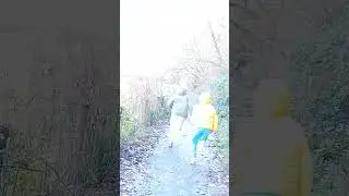 Факты про Великобританию #nature #uk #waterfall