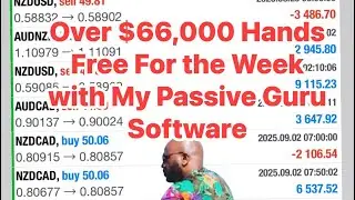Best Passive Income Investment Retirement Plan Online- Traditional IRA vs. Passive Income Guru Bot