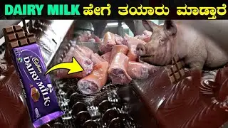 Dairy Milk Chocolate ಹೇಗೆ ತಯಾರು ಮಾಡ್ತಾರೆ | How Cadbury Chocolate Made In Factory