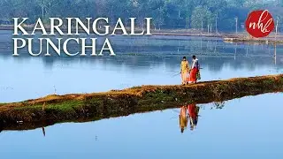 Karingali Puncha | Nooranad Padanilam Alappuzha | Kerala Villages | കരിങ്ങാലി പുഞ്ച | India