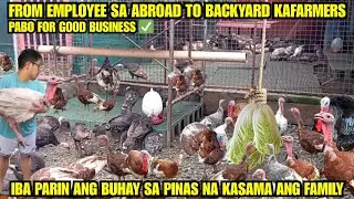 FROM EMPLOYEE SA ABROAD TO BACKYARD FARM NAGING SUCCESSFUL ANG PABO FOR GOOD BUSINESS