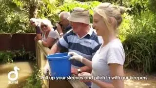 Keeper for a day at Durrell