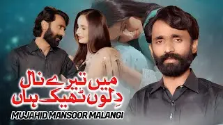 Main Tery Nal Dilon Thik Haan | Mujjahid Mansoor Malangi | Saraiki Song | Latest Official Video