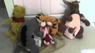 Winnie the Pooh Limited Edition Plush Set