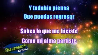 Los Felinos Sin Coraz&oacute;n Karaoke