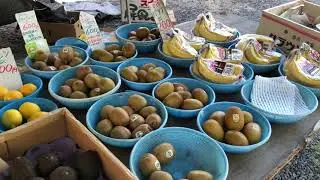 Japanese fruits and vegetables stands at local street market  [Japan Street Food]