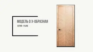 Дверь серии Plane. Модель D, X-образная