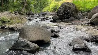 Relaxing Nature River Sounds 🌿 Powerful Sleep Aid for Anxiety & Overthinking 💤