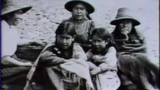 Salmonista Kwaguł excerpt