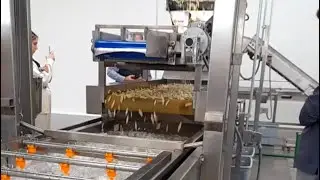 1000kg/h Automatic Frozen French Fries Machine Plant Potato Line Factory Used In Mexico From China