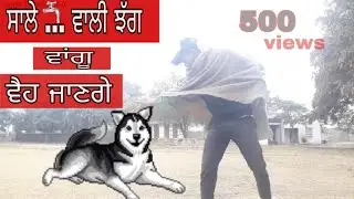 Dont Bark If You Cant Bite || Sippy Gill || Jagga Fatehpuria