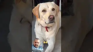 #shortvideo #papyg
