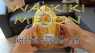 Waikiki Melon - Exotic fruit or Market Name