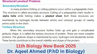 11th Class Biology Chapter 4 | Structural Levels of Protein | Secondary Structure | Topic 4.6
