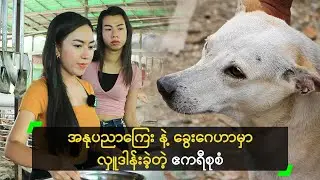 အနုပညာကြေး နဲ့ ခွေးဂေဟာမှာ လှူဒါန်းခဲ့တဲ့ ဧကရီစုစံ