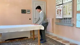 Scimmia con le mani sul tavolo