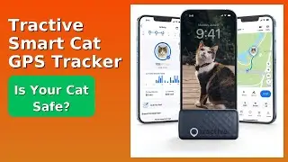 REVIEW (2025): Tractive Smart Cat GPS Tracker. Features.