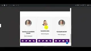 Elementor Animated Profile Card Effect
