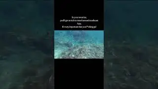let's goooo.  Indonesian | travel | backpack | Asia