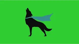 Wolf icon green screen footage
