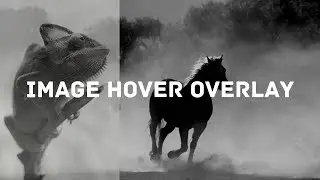 How to create image hover overlay using HTML and CSS