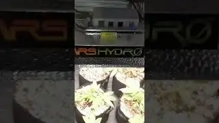 MARSHYDRO TSW2000