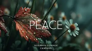 Peaceful Guitar Music - Serene Instrumental for Deep Sleep & Stress Relief