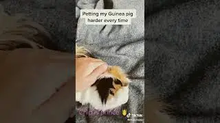 Chip is prince 🤴