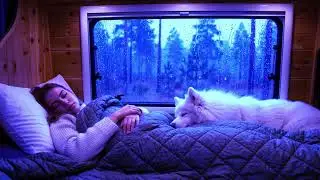 Heavy Rain and Gentle Thunder for Deep Sleep &ndash; Calm Blue Night | Improve Sleep Quality
