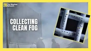 Scientists Build Better Nets to Turn Fog into Usable Water