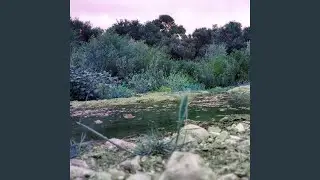 Surf Song