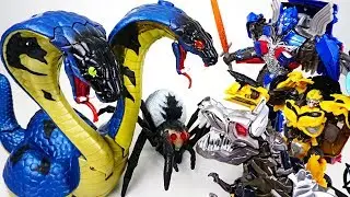 Giant two-headed cobra appeared in ruins! Go! Transformers Optimus Prime, Bumblebee! - DuDuPopTOY