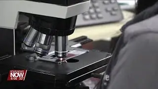 Lima Memorial Health System is now offering Direct Access Testing for patients