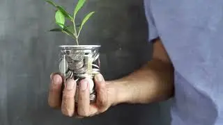 Revolution in Climate Finance (Climate Fintech Unicorn)