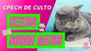 Si te gustan los gatos, estas recomendaciones son para ti - CPECH DE CULTO