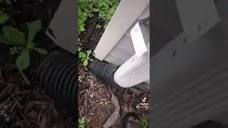 Gutter Problems #gutterclean #guttercleaning #gutter #farmer #farmlifebestlife #farmlife #farm