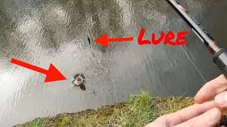 Angry Pike JUMPS OUT OF WATER to attack