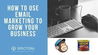 Email Marketing - An Under-Utilized Tool to Grow Your Business | Spectora