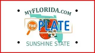 How to Lookup Florida License Plates and Report Bad Drivers