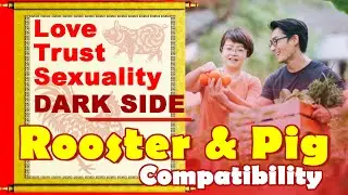 Rooster and Pig Compatibility in Love, Life, Trust, Intimacy | Rooster and Pig Chinese Compatibility