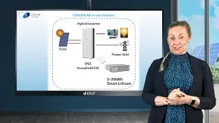 Coslink - EnerMax-C&I Distributed Energy Storage Cabinet